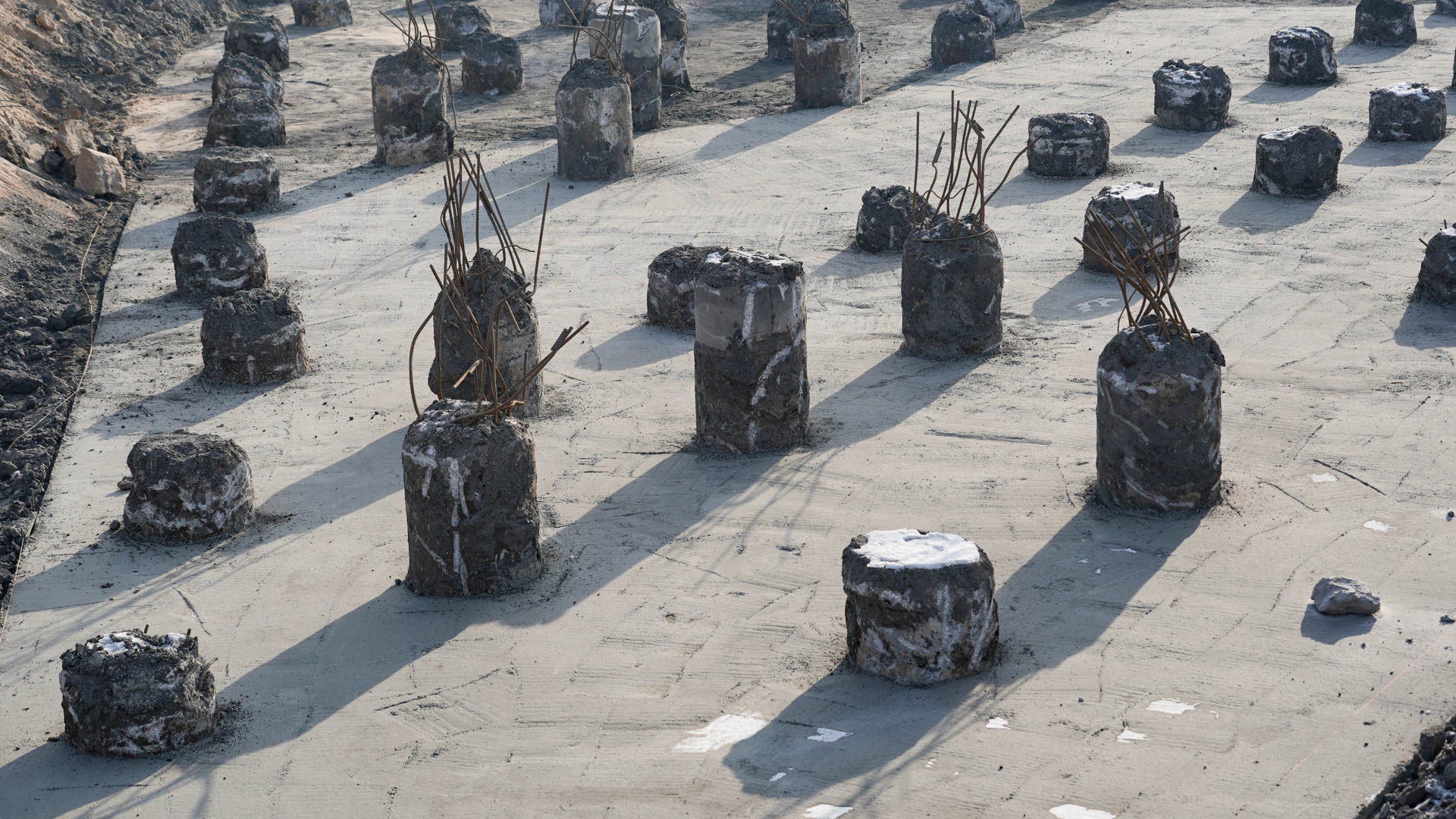 Січень 2026 #1